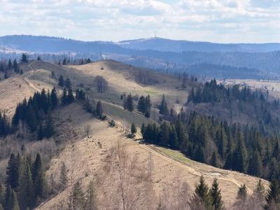 В протилежний бік манить широка полонина