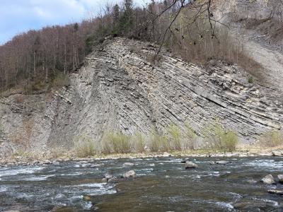 img_8837.jpg