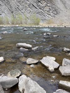 img_8838.jpg